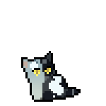 Kit