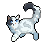 puddlefrost